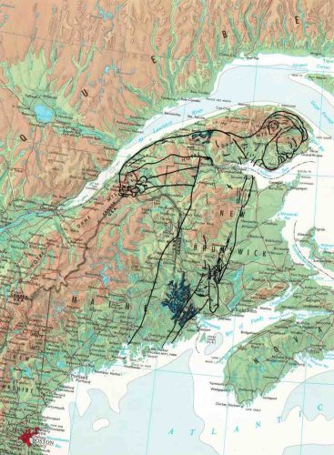 Queer eroticism - Benjamin Tagger